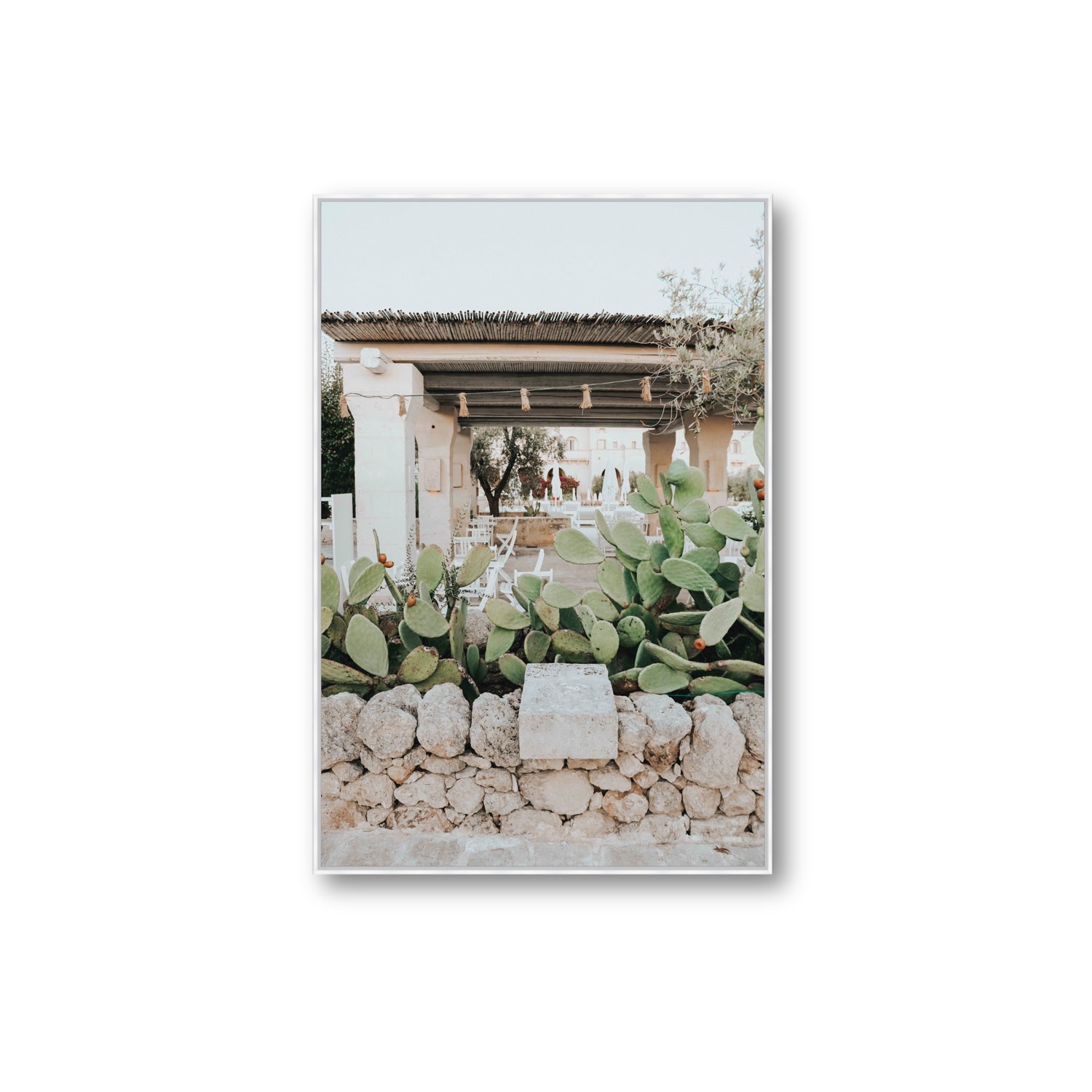 Puglia Flora Puglia Borgo Egnazia Mediterranean wall art Extra Large fine art canvas in white float frame