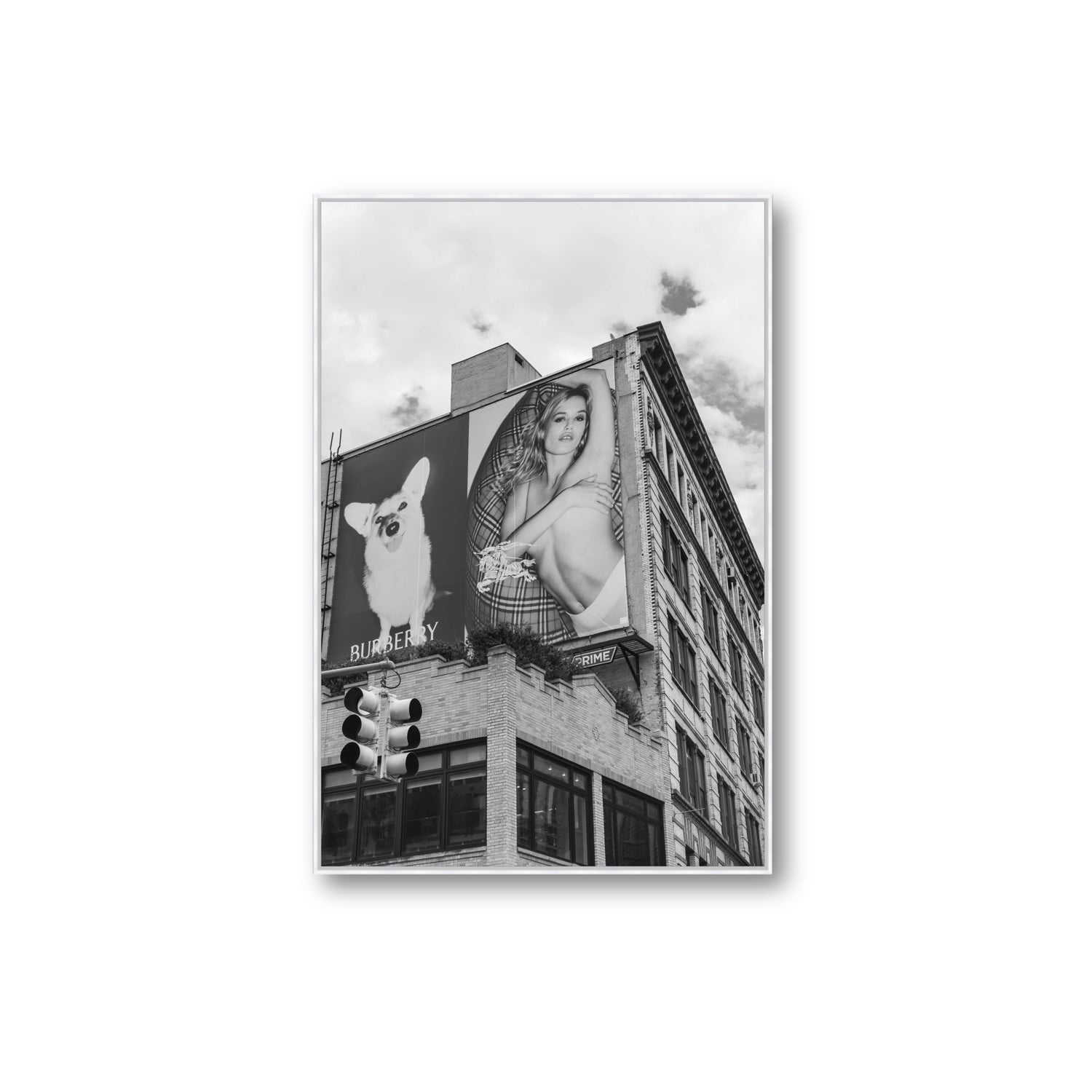 Dynamic Duo fine art print, New York, United States, Extra Large, White Float Frame, Fine Art Canvas