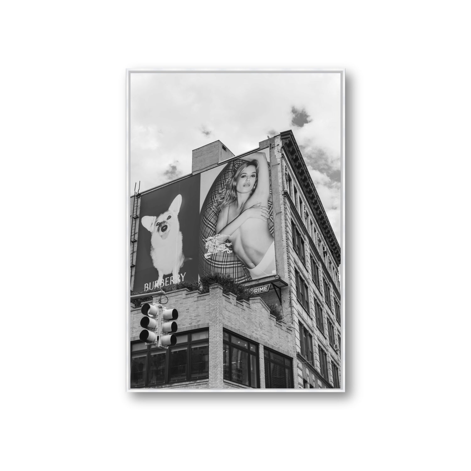 Dynamic Duo fine art print, New York, United States, Giant, White Float Frame, Fine Art Canvas