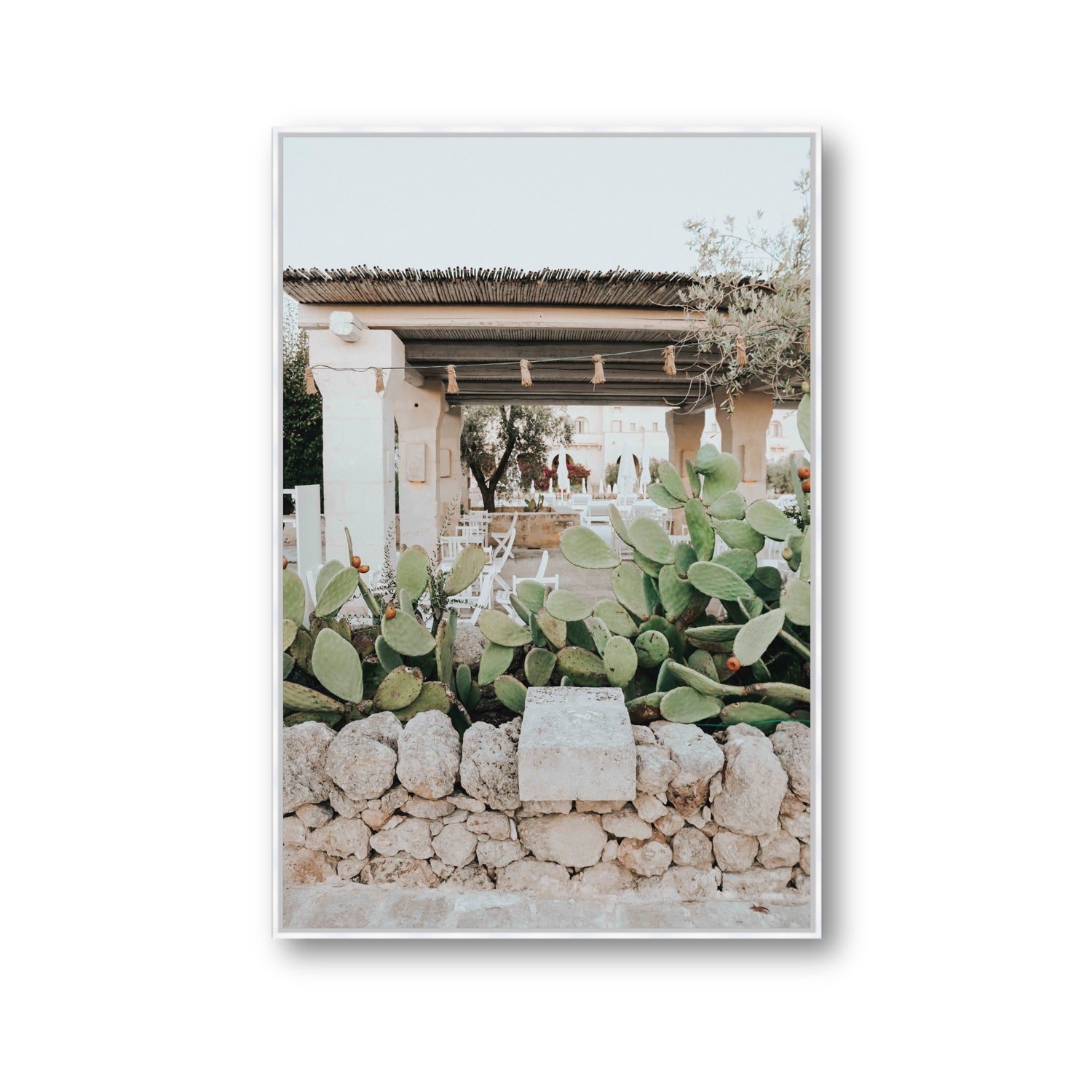 Puglia Flora Puglia Borgo Egnazia Mediterranean wall art Gallery fine art canvas in white float frame