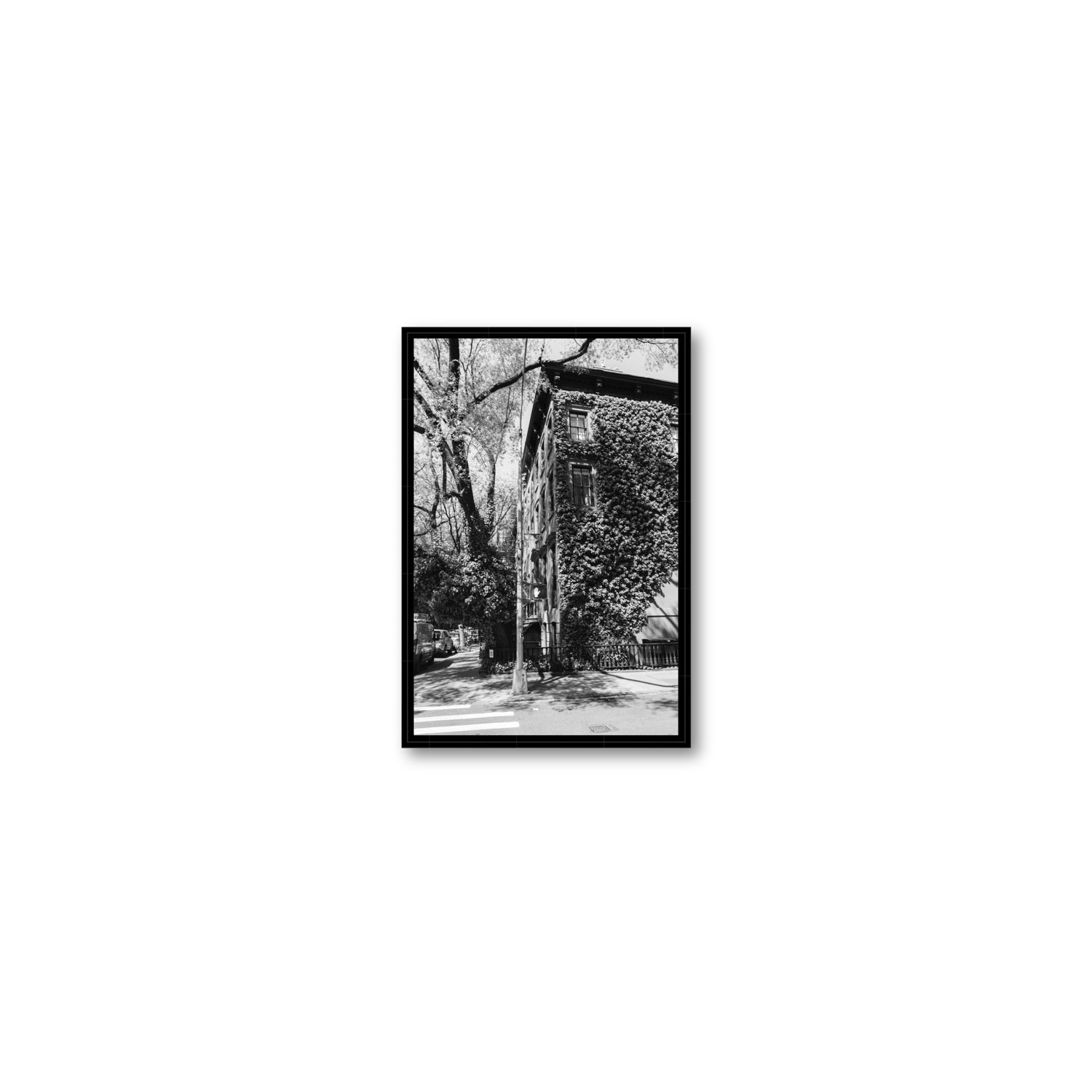 Vertical Garden New York NYC Black & White wall art Small fine art canvas in black float frame
