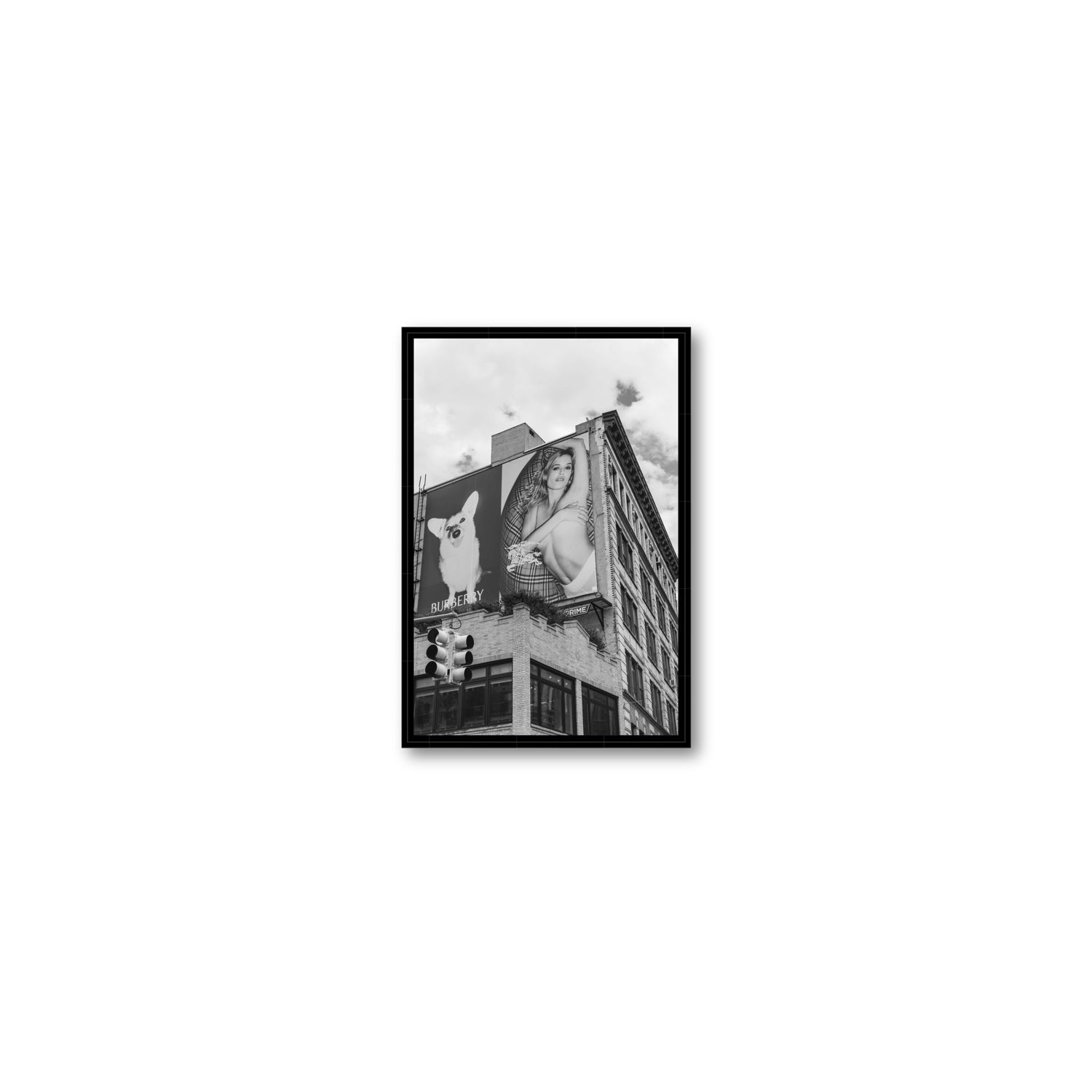 Dynamic Duo fine art print, New York, United States, Small, Black Float Frame, Fine Art Canvas