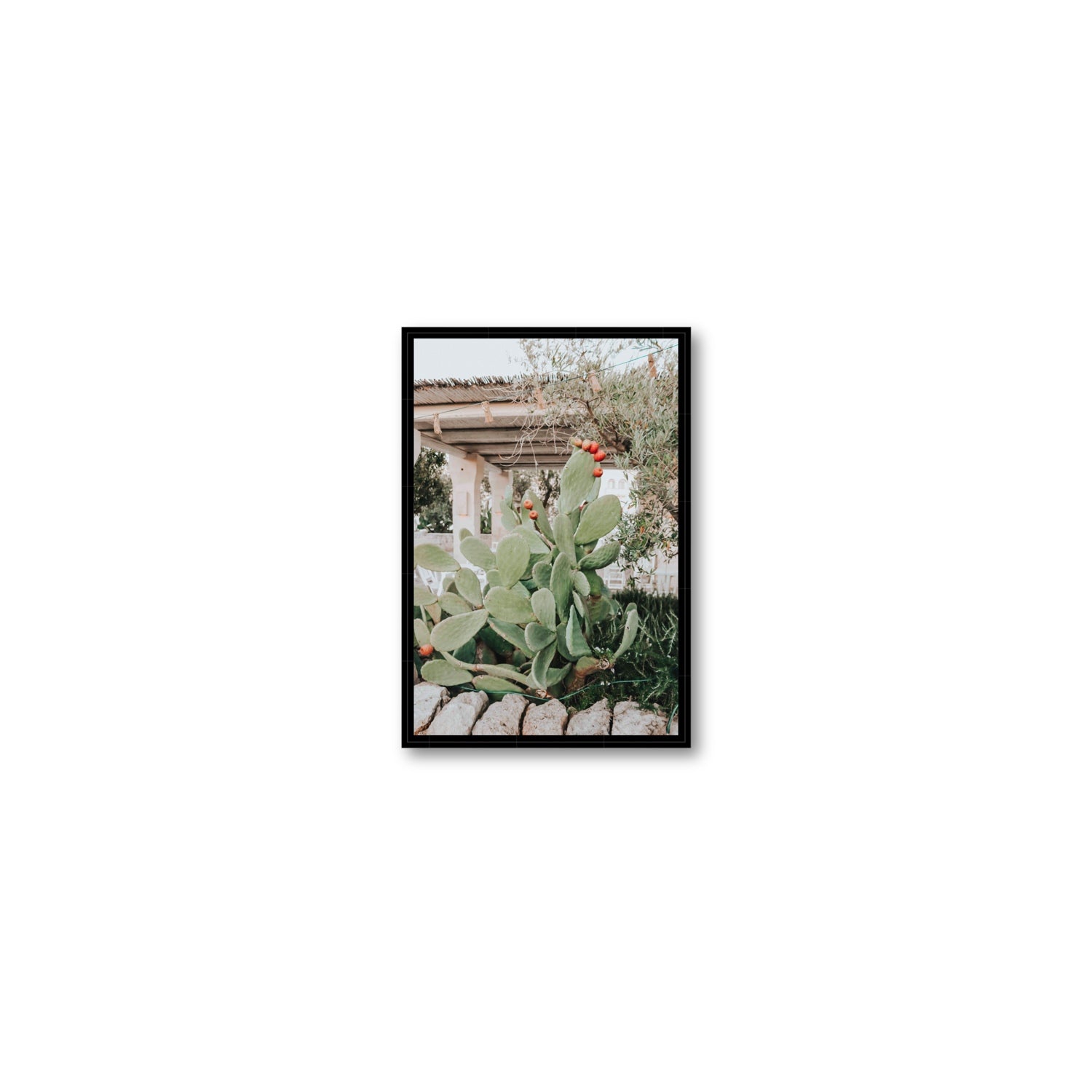 Opuntia Beauty Puglia wall art Small fine art canvas in black float frame