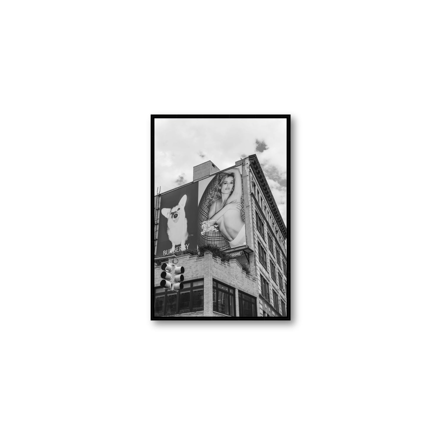 Dynamic Duo fine art print, New York, United States, Medium, Black Float Frame, Fine Art Canvas
