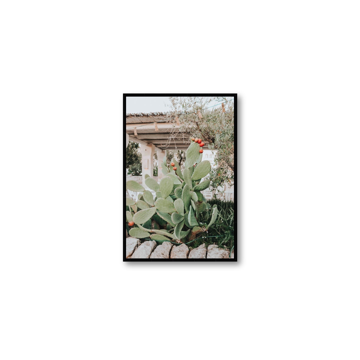 Opuntia Beauty Puglia wall art Medium fine art canvas in black float frame