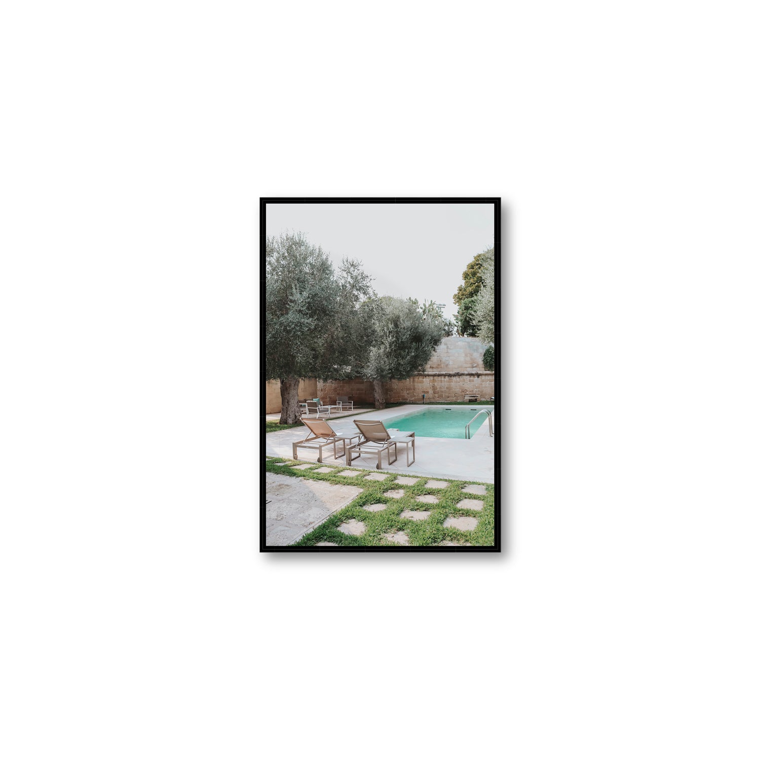 Olive Oasis