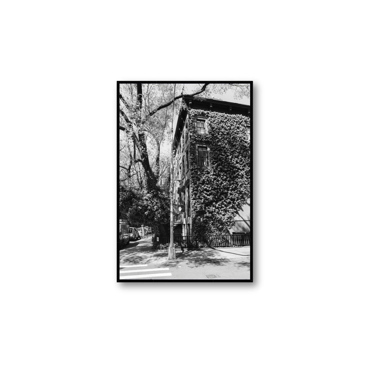 Vertical Garden New York NYC Black & White wall art Large fine art canvas in black float frame