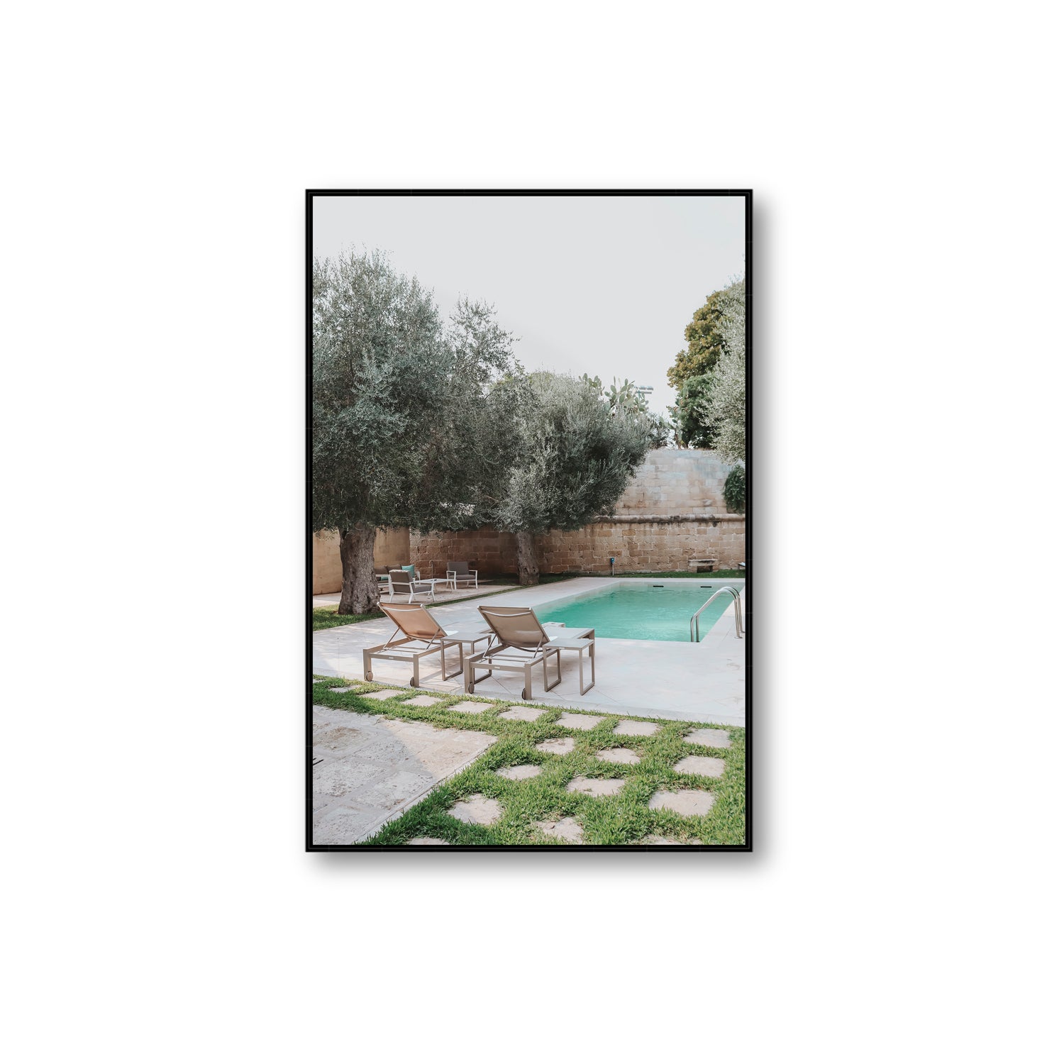 Olive Oasis