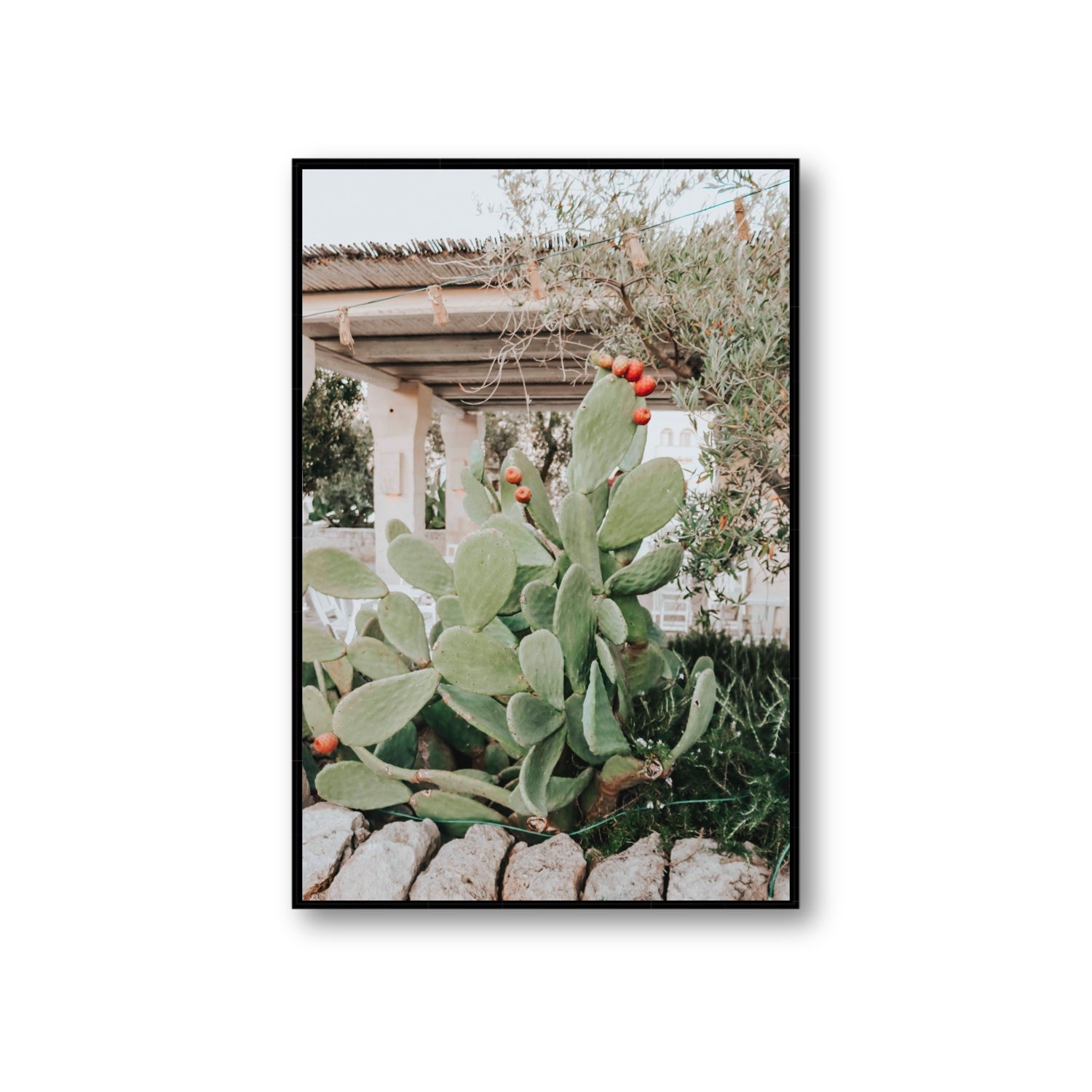 Opuntia Beauty Puglia wall art Giant fine art canvas in black float frame