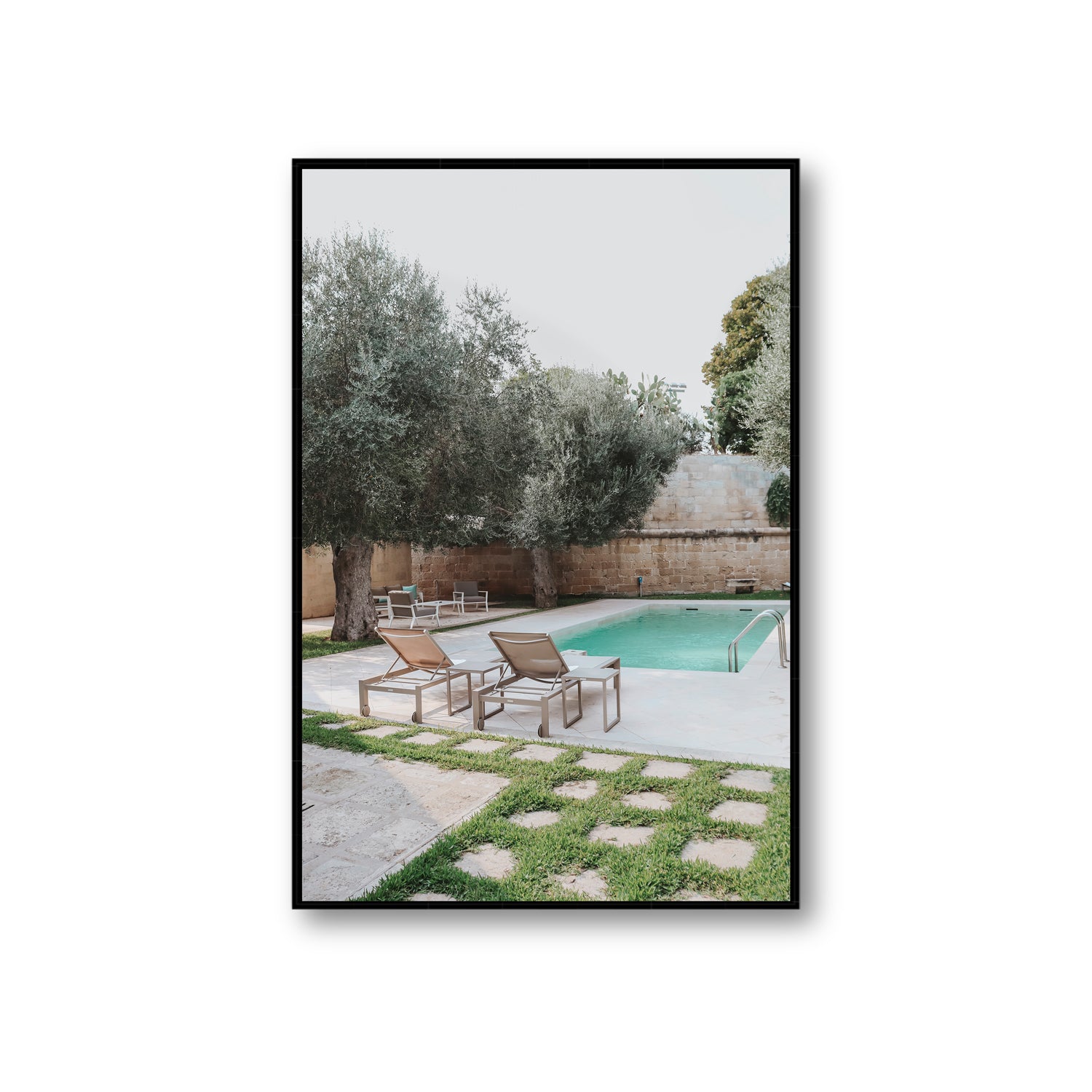 Olive Oasis
