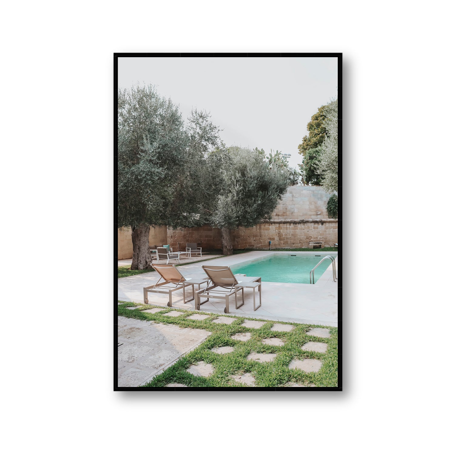 Olive Oasis