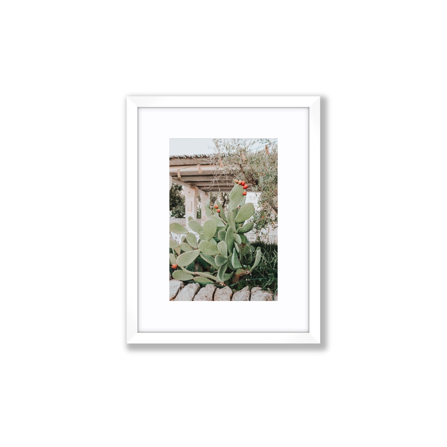 Opuntia Beauty Puglia wall art Small fine art print in white frame with matboard