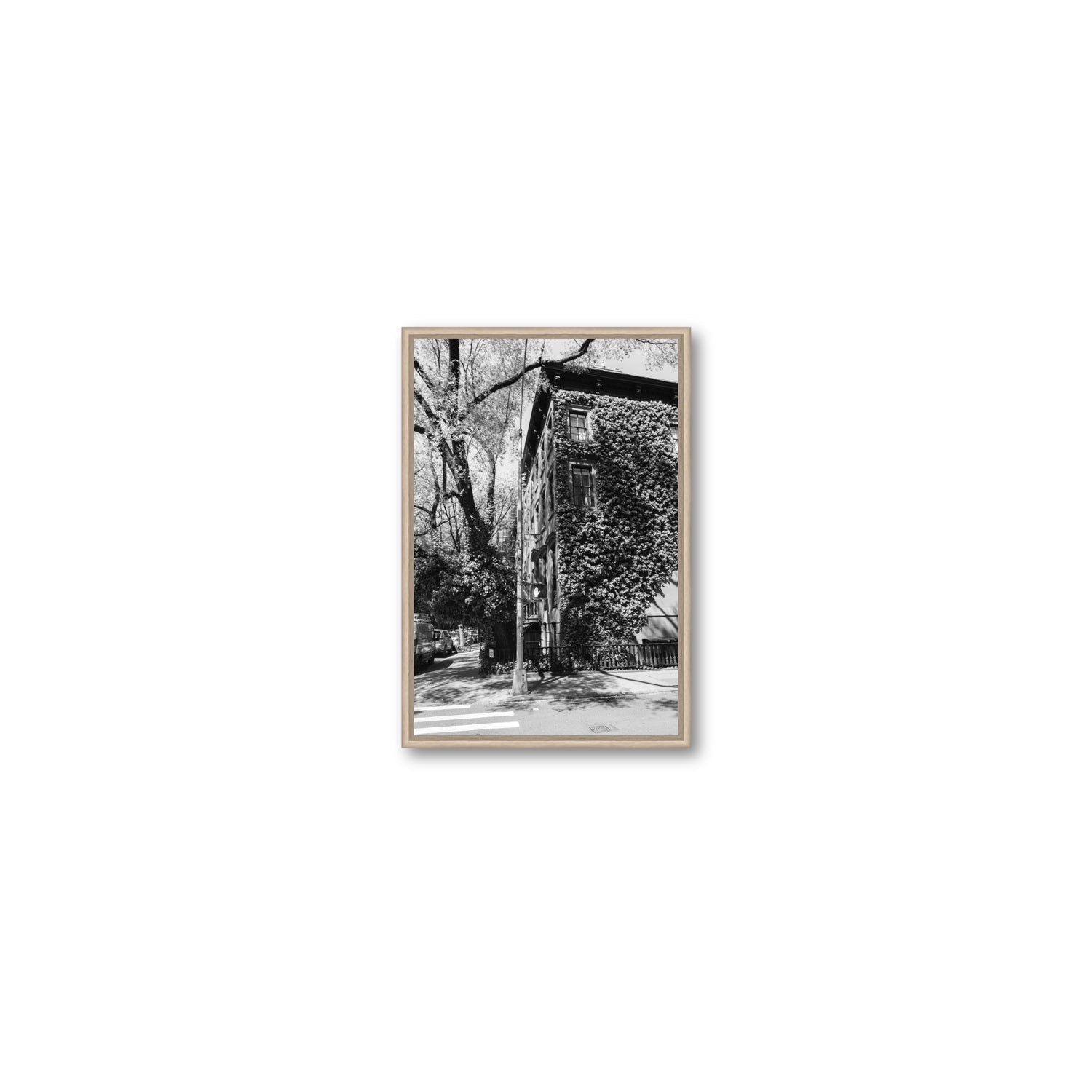 Vertical Garden New York NYC Black & White wall art Small fine art canvas in natural oak float frame