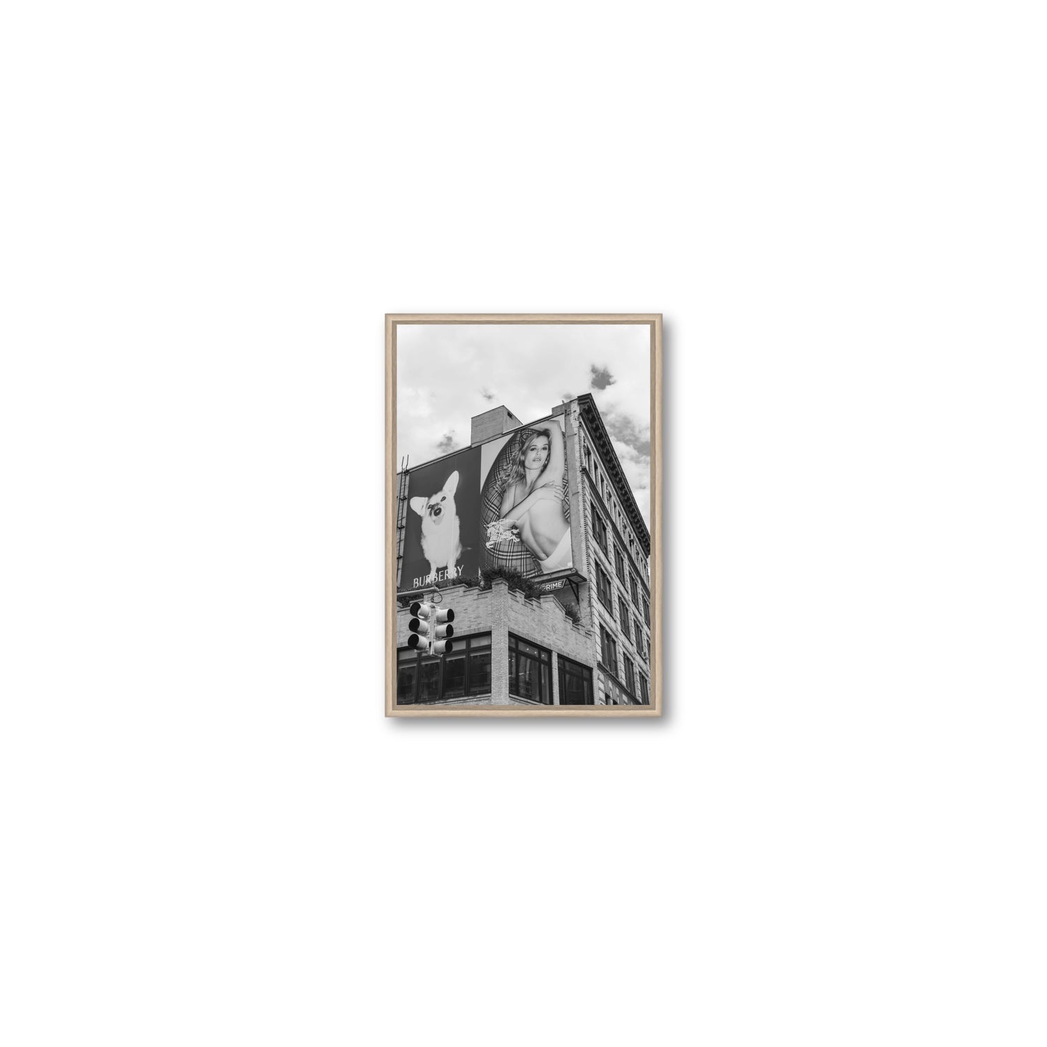 Dynamic Duo fine art print, New York, United States, Small, Natural Oak Float Frame, Fine Art Canvas