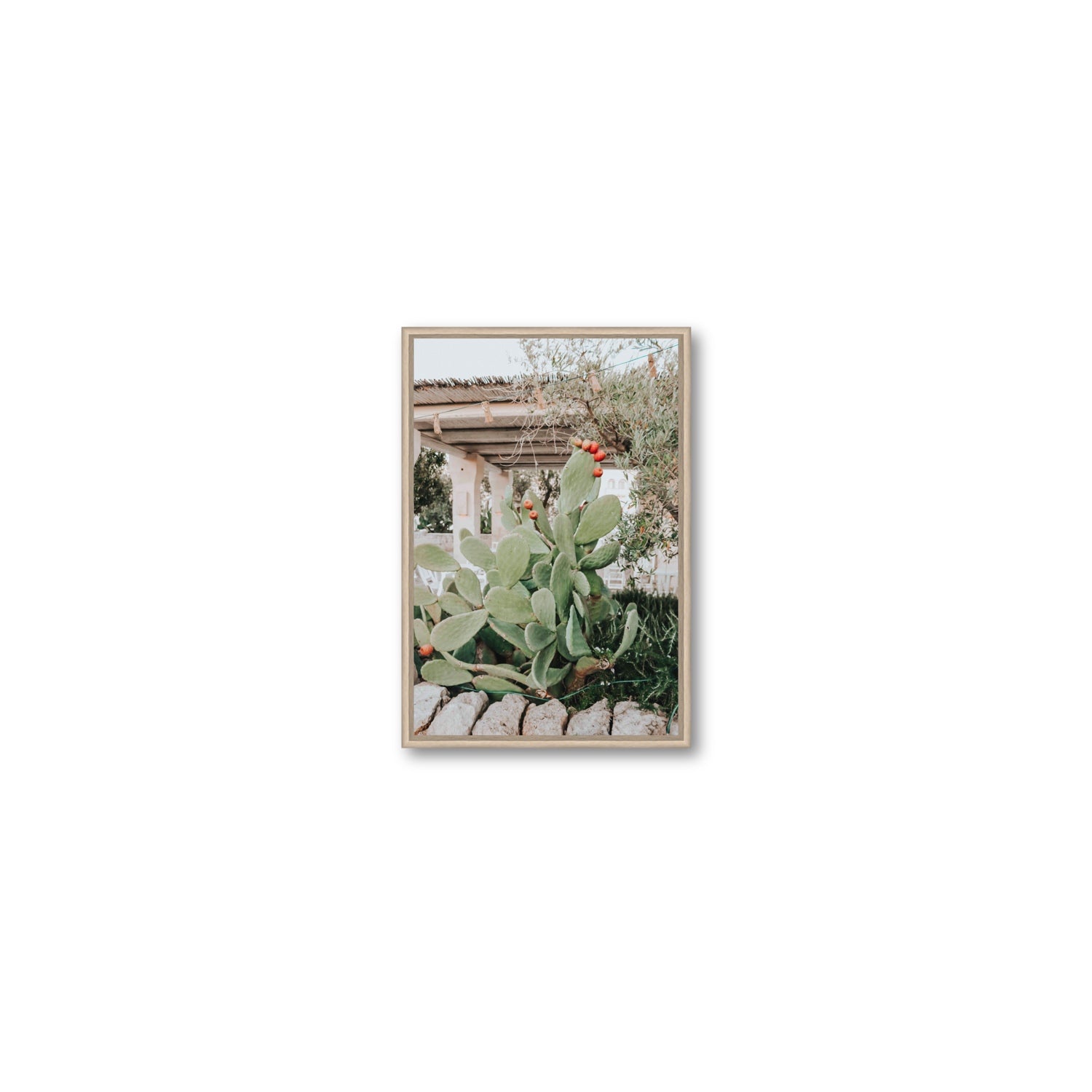Opuntia Beauty Puglia wall art Small fine art canvas in natural oak float frame