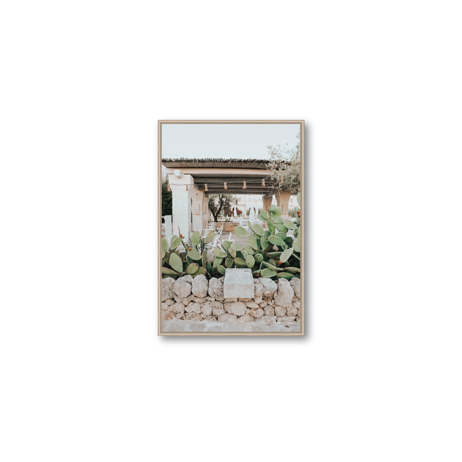 Puglia Flora Puglia Borgo Egnazia Mediterranean wall art Medium fine art canvas in natural oak float frame