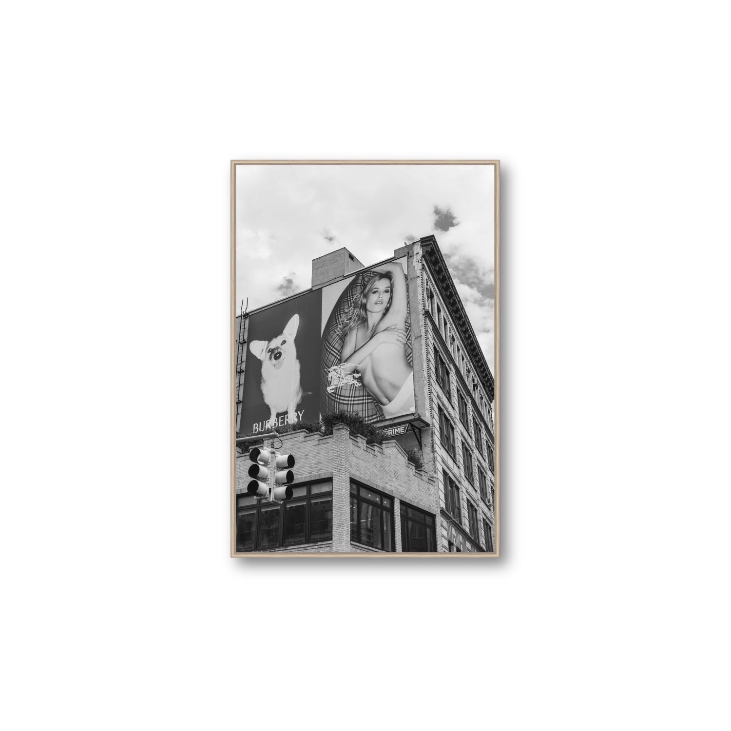 Dynamic Duo fine art print, New York, United States, Large, Natural Oak Float Frame, Fine Art Canvas