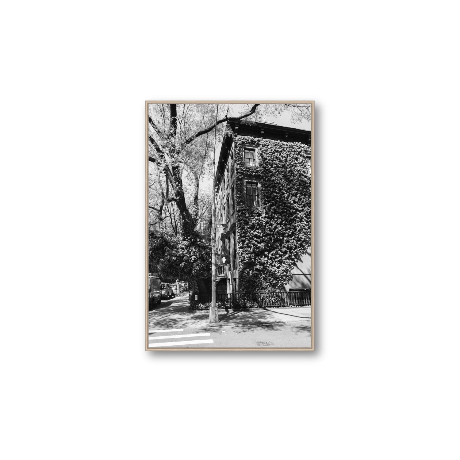 Vertical Garden New York NYC Black & White wall art Large fine art canvas in natural oak float frame