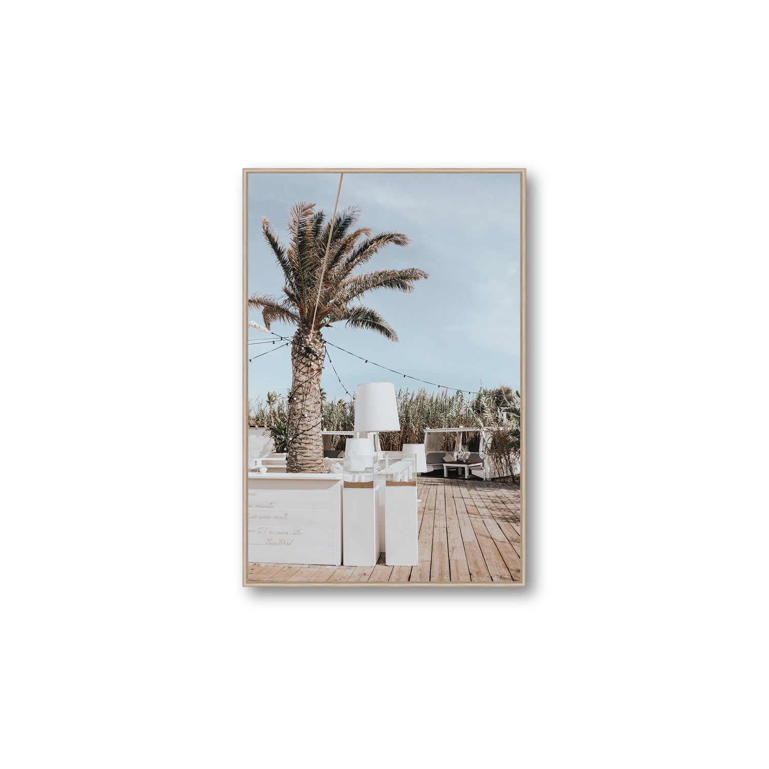 Seabreeze Palm