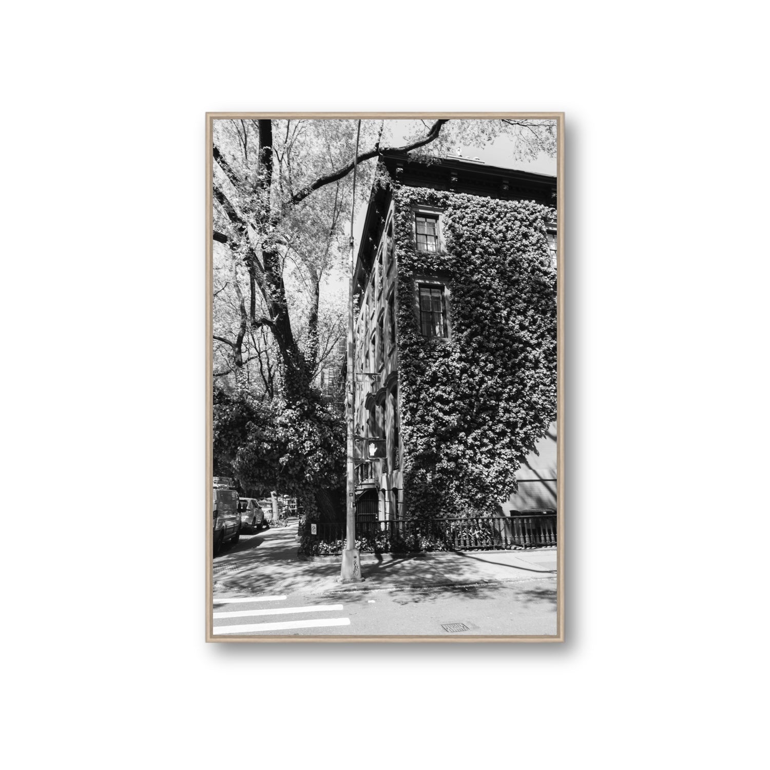 Vertical Garden New York NYC Black & White wall art Giant fine art canvas in natural oak float frame
