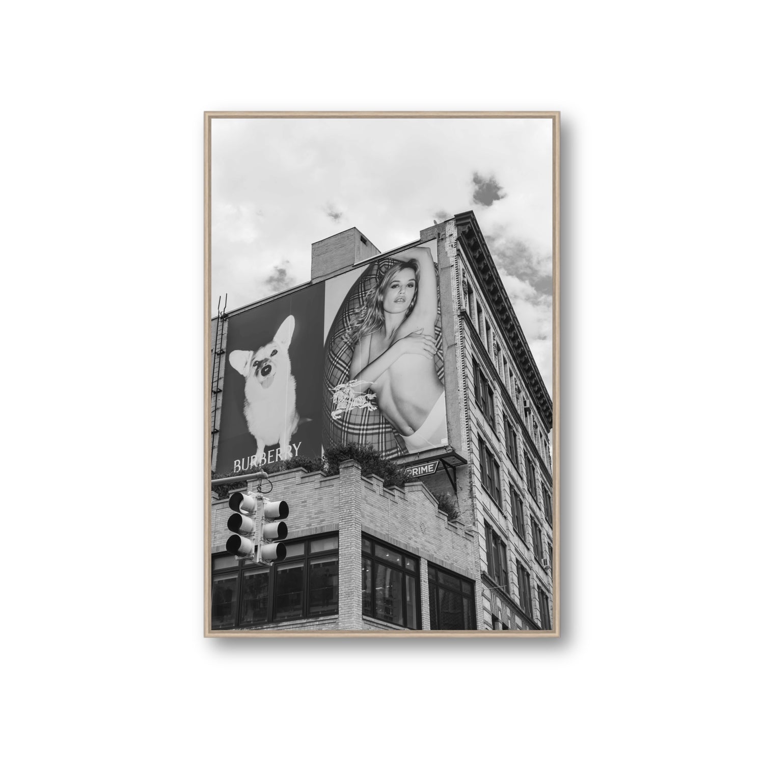 Dynamic Duo fine art print, New York, United States, Giant, Natural Oak Float Frame, Fine Art Canvas