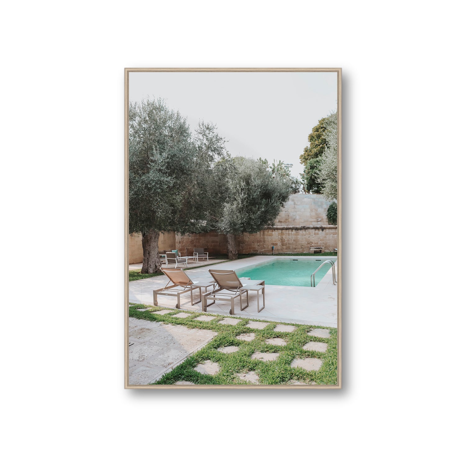 Olive Oasis