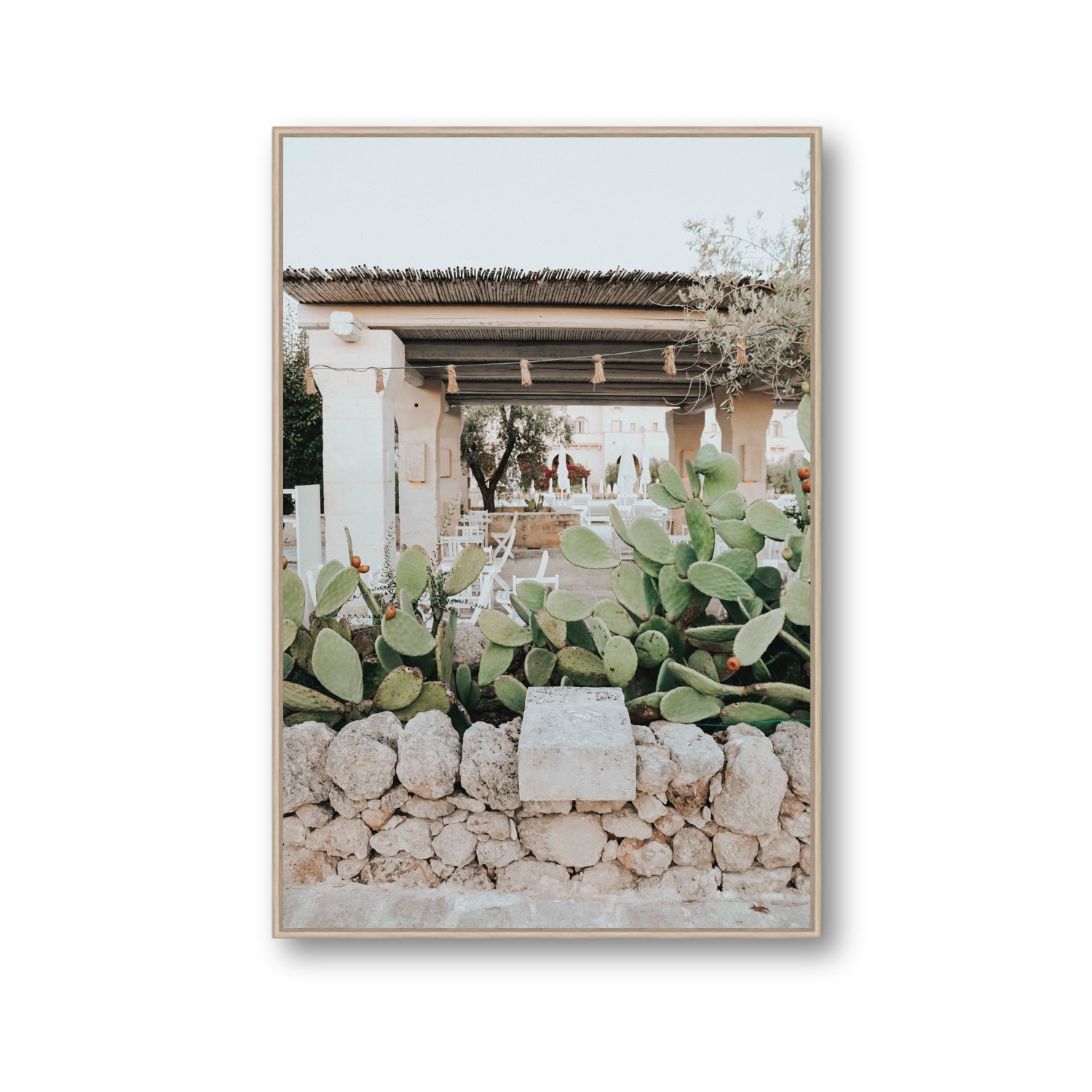 Puglia Flora Puglia Borgo Egnazia Mediterranean wall art Gallery fine art canvas in natural oak float frame