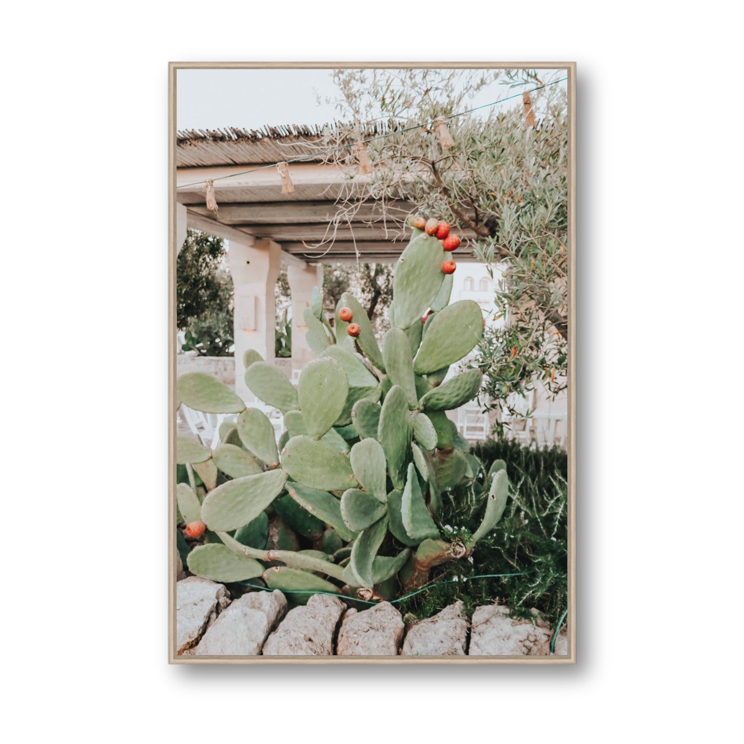Opuntia Beauty Puglia wall art Statement fine art canvas in natural oak float frame