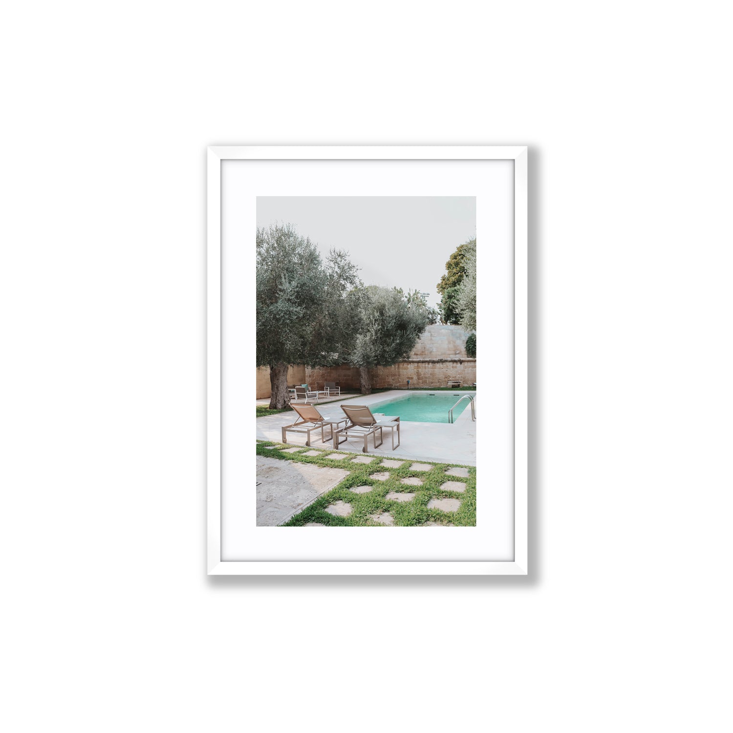 Olive Oasis