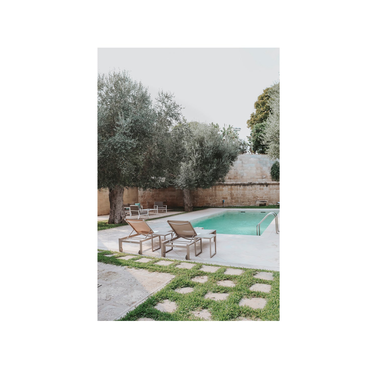 Olive Oasis