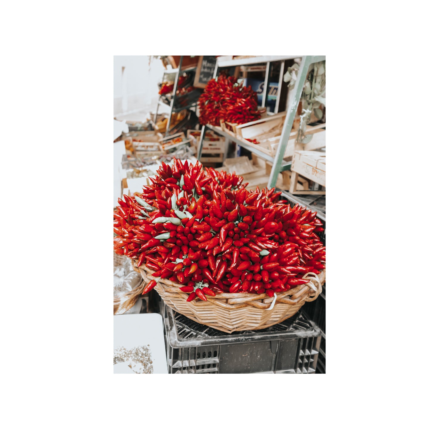 Spicy Bunch
