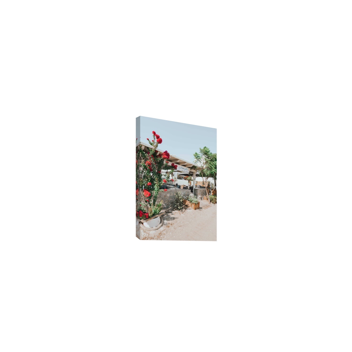 Yialo Yialo fine art print, Mykonos, Greece, Small, Stretched Canvas