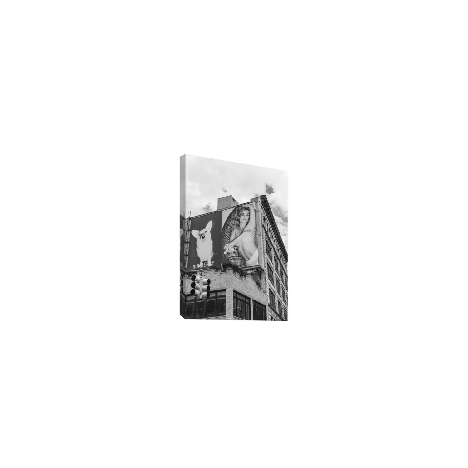 Dynamic Duo fine art print, New York, United States, Small, Stretched Canvas