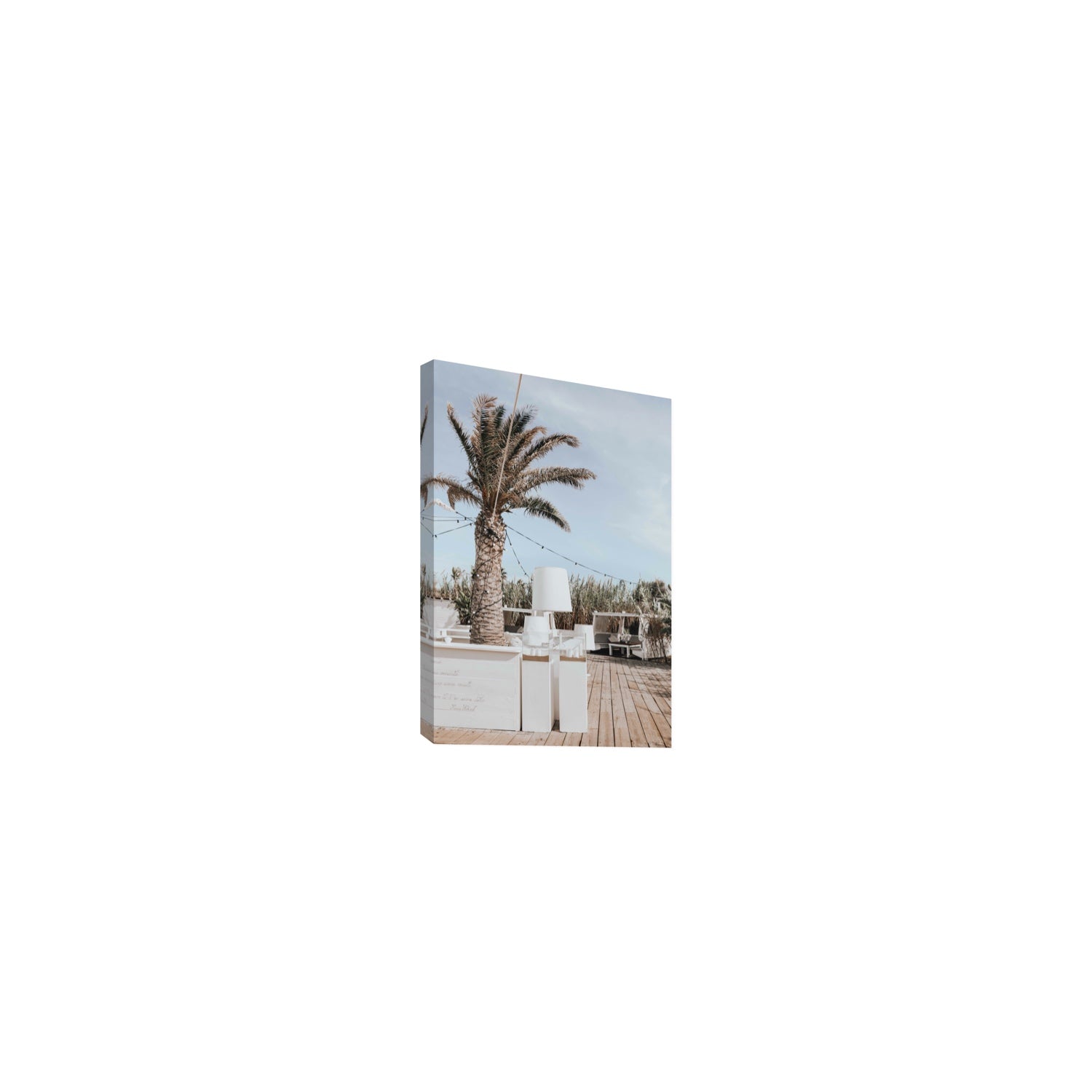 Seabreeze Palm Puglia coastal beach wall art Small stretched canvas print
