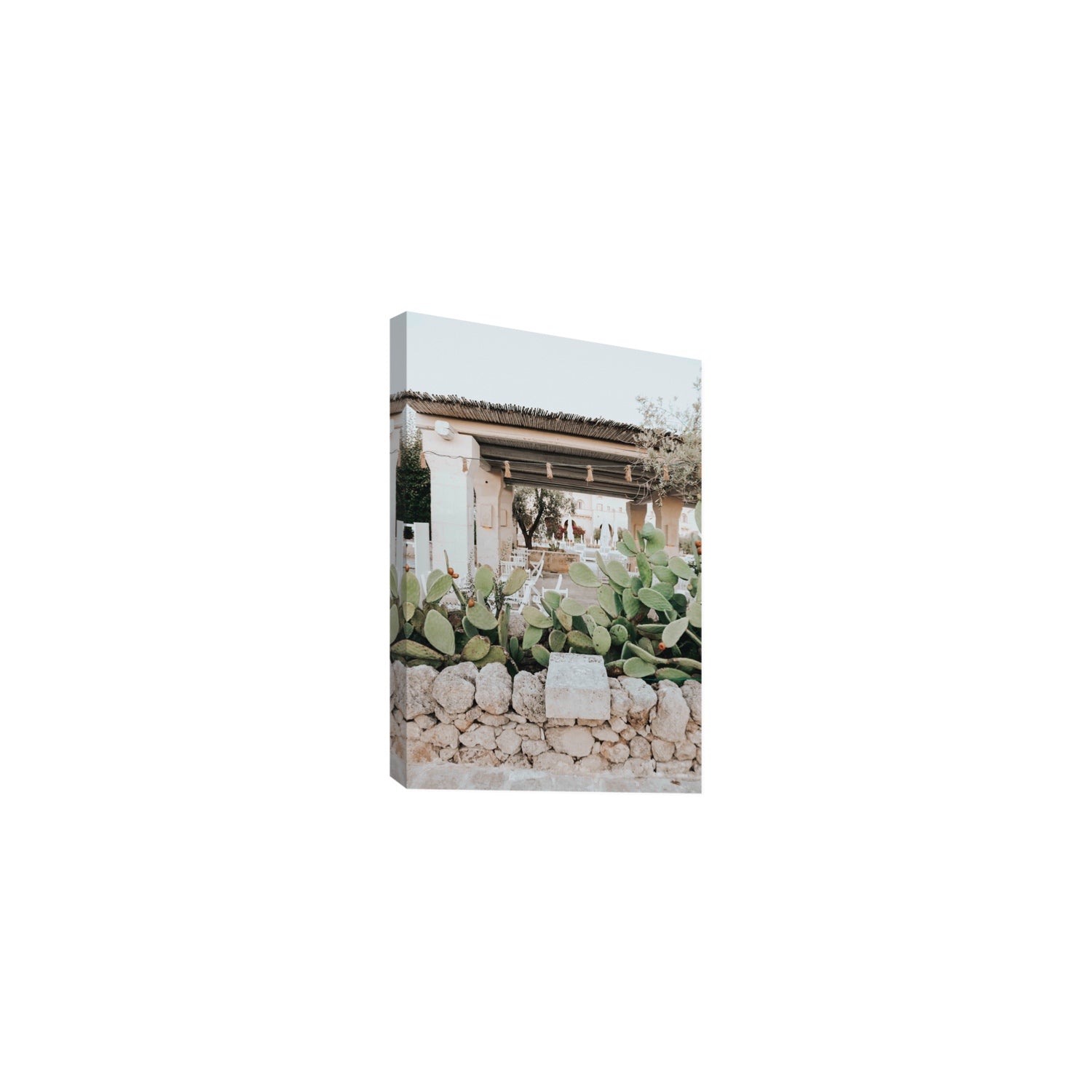 Puglia Flora Puglia Borgo Egnazia Mediterranean wall art Medium stretched canvas print