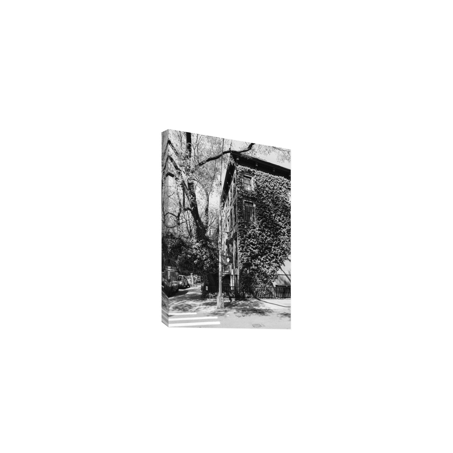 Vertical Garden New York NYC Black & White wall art Medium stretched canvas print