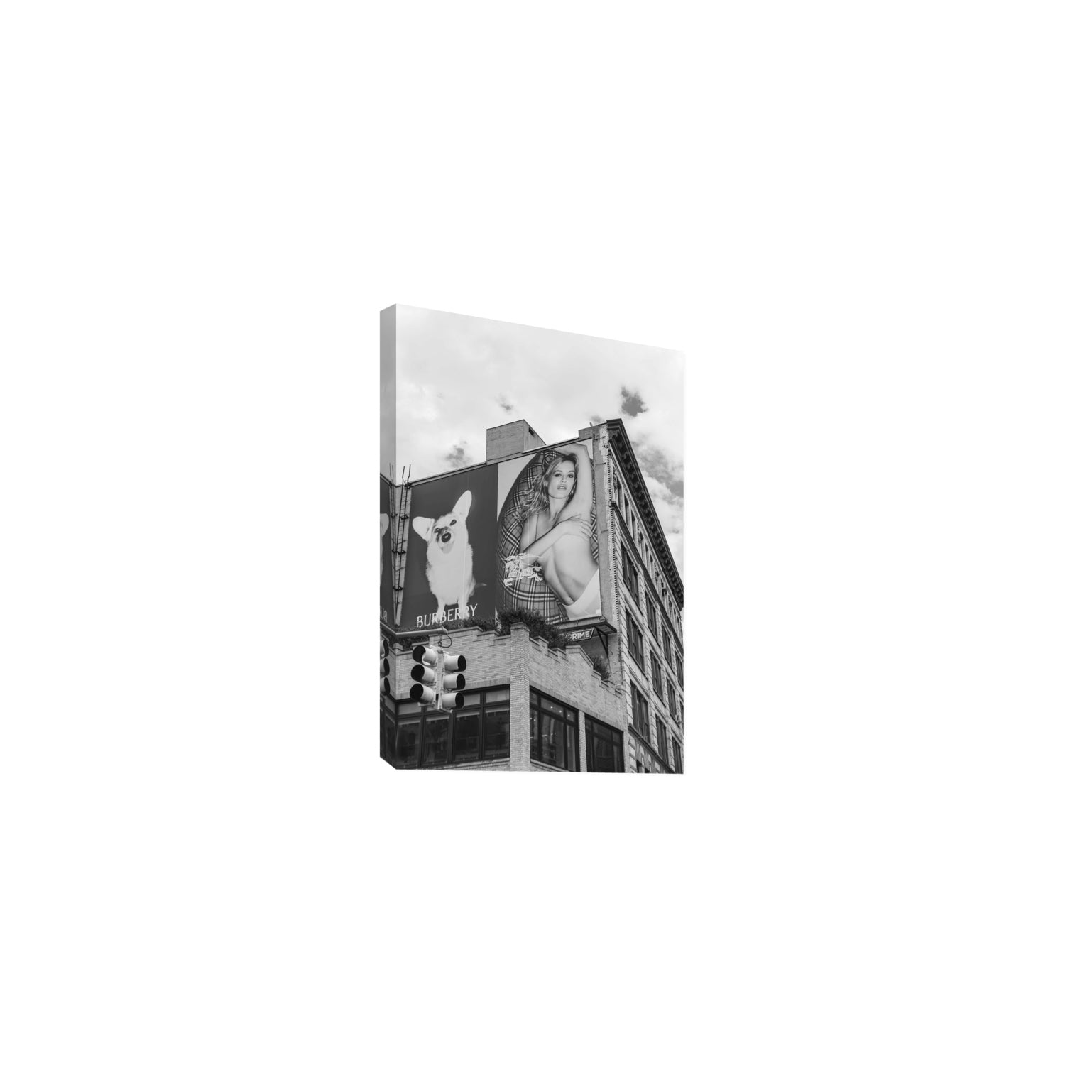 Dynamic Duo fine art print, New York, United States, Medium, Stretched Canvas