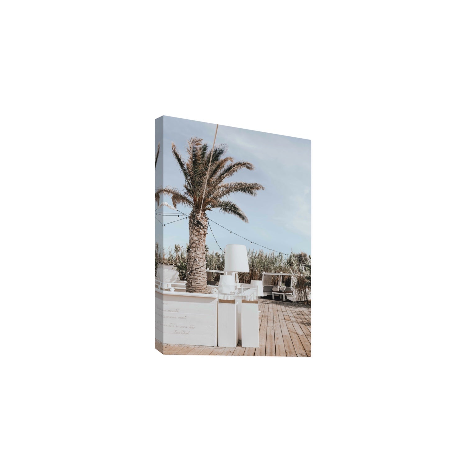Seabreeze Palm Puglia coastal beach wall art Large stretched canvas print