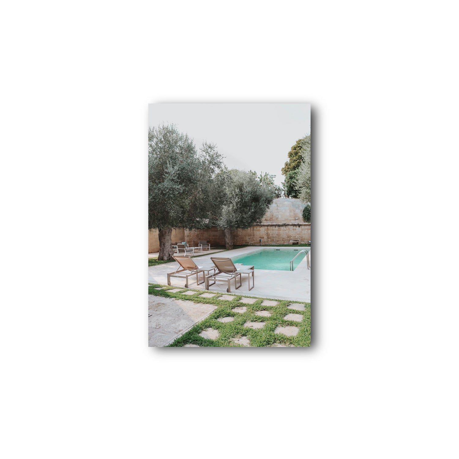 Olive Oasis