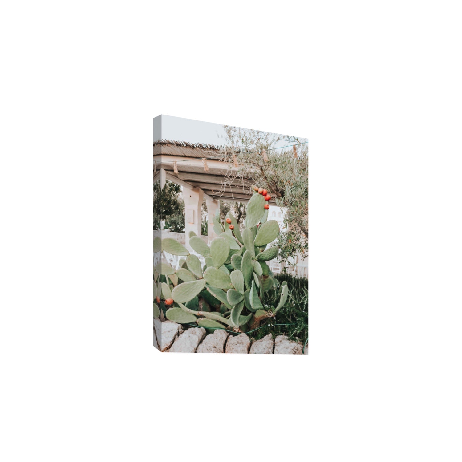 Opuntia Beauty Puglia wall art Large stretched canvas print