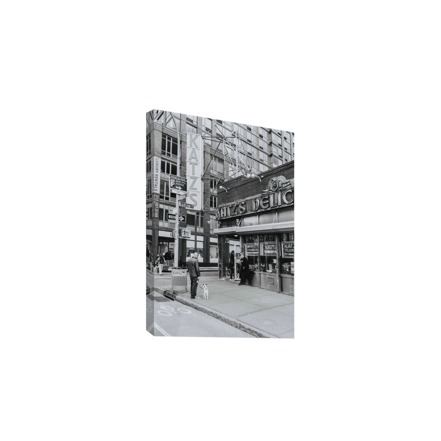 Graphite Gotham New York NYC Black & White wall art Large stretched canvas print