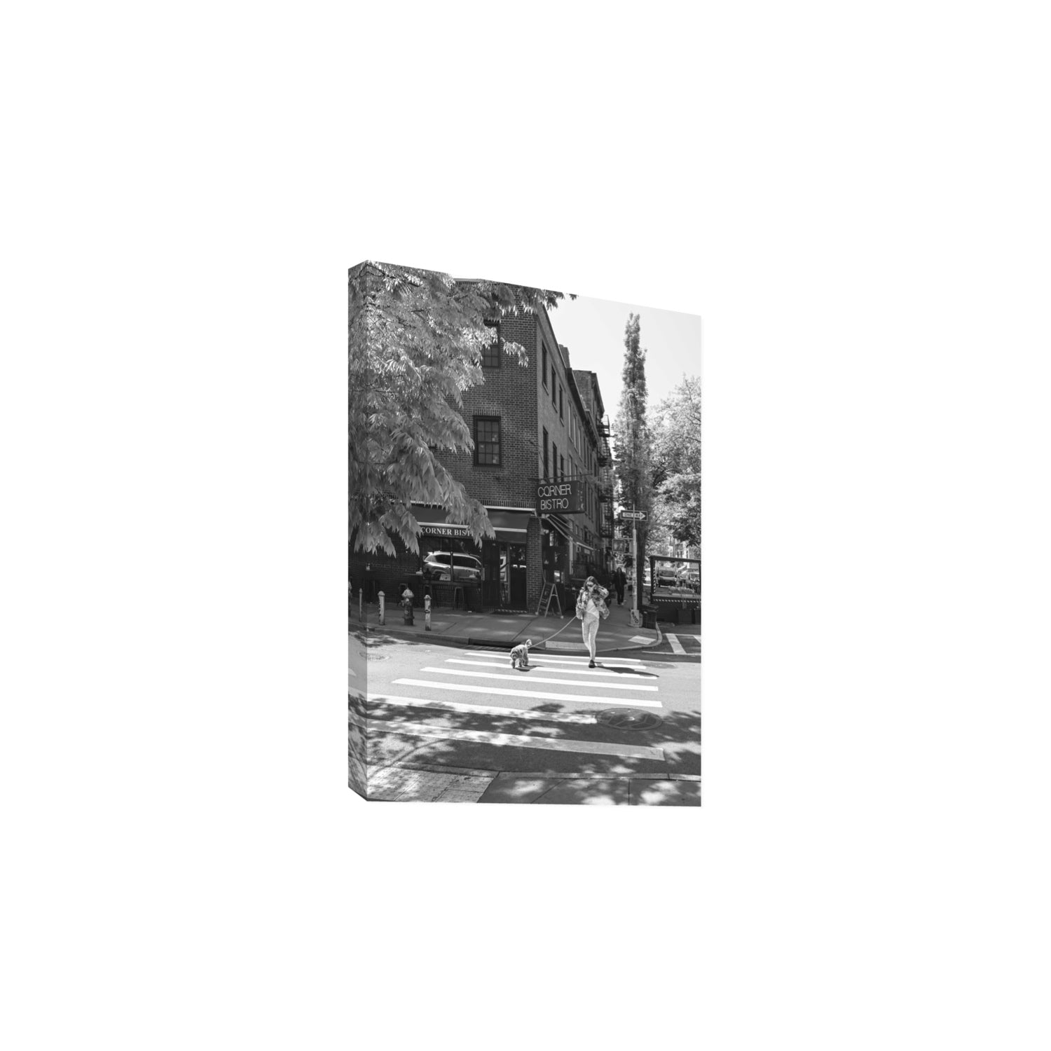 Sunlit Stroll New York NYC Black & White wall art Large stretched canvas print