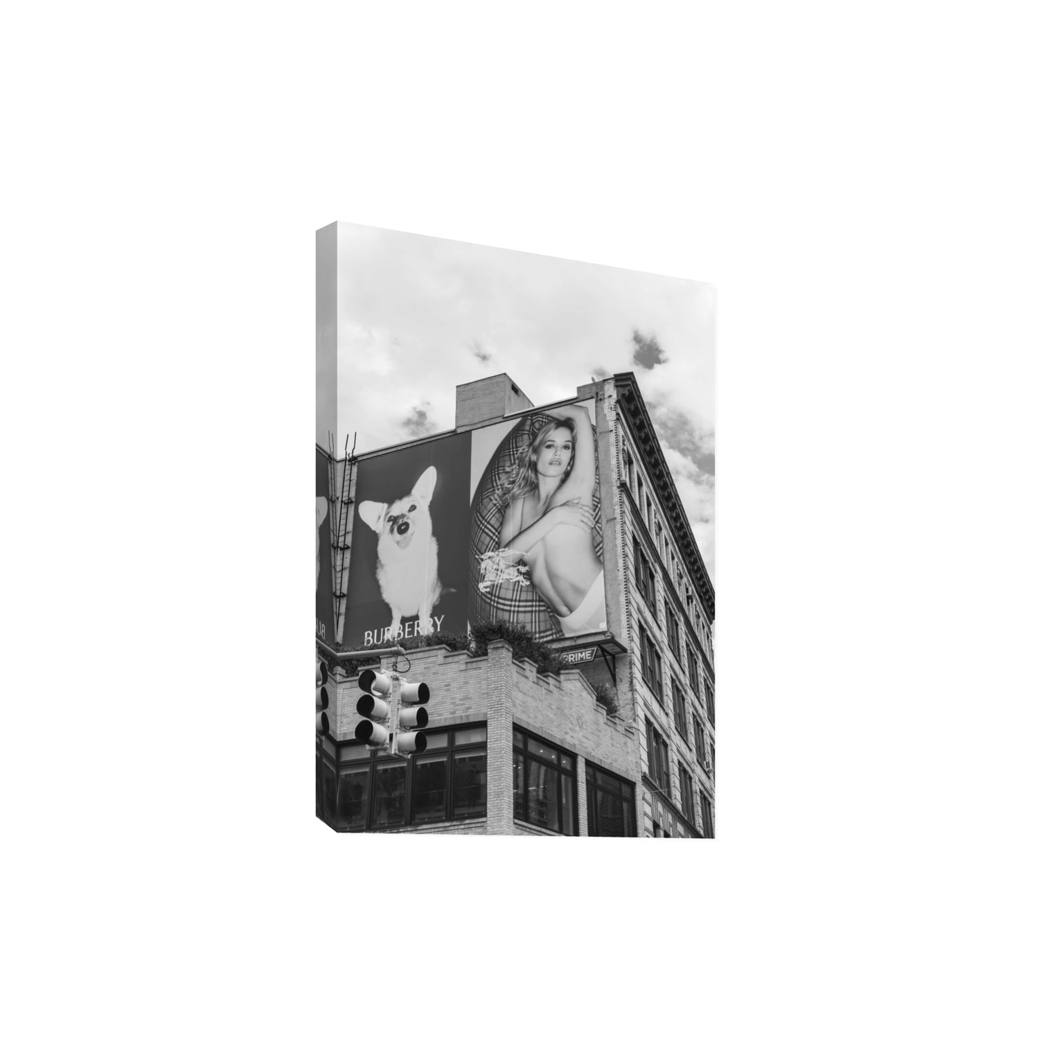 Dynamic Duo fine art print, New York, United States, Extra Large, Stretched Canvas