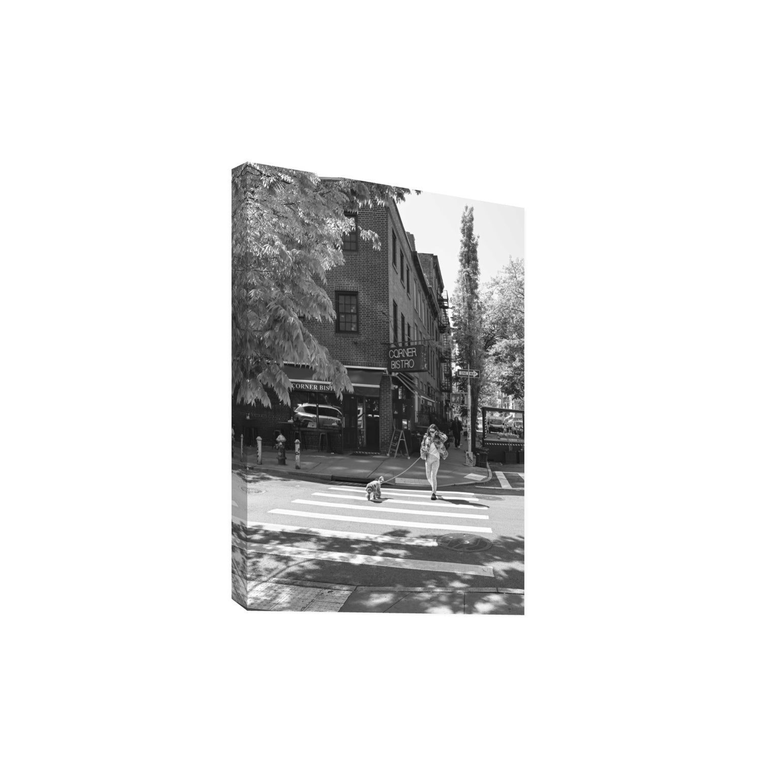 Sunlit Stroll New York NYC Black & White wall art Extra Large stretched canvas print