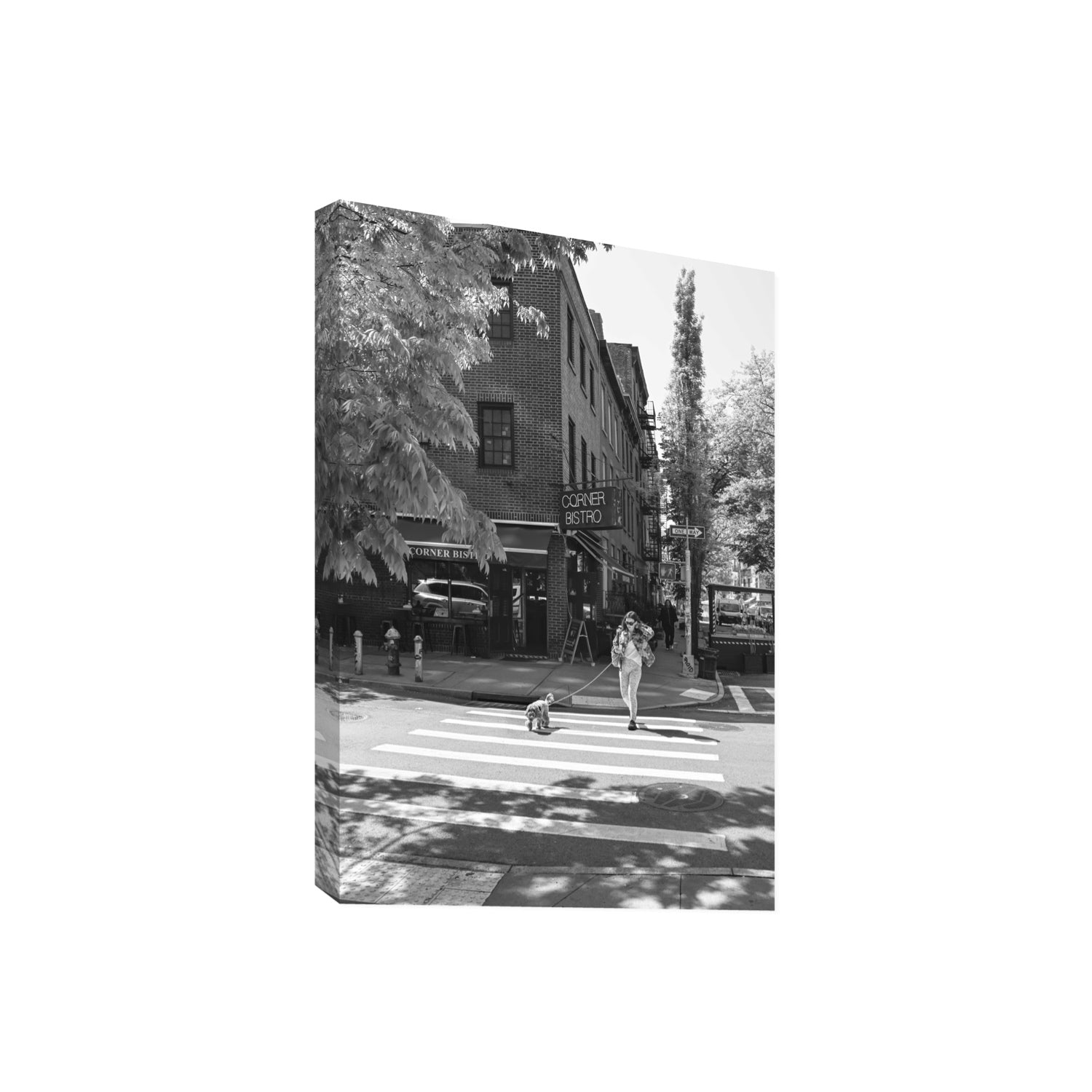 Sunlit Stroll New York NYC Black & White wall art Giant stretched canvas print