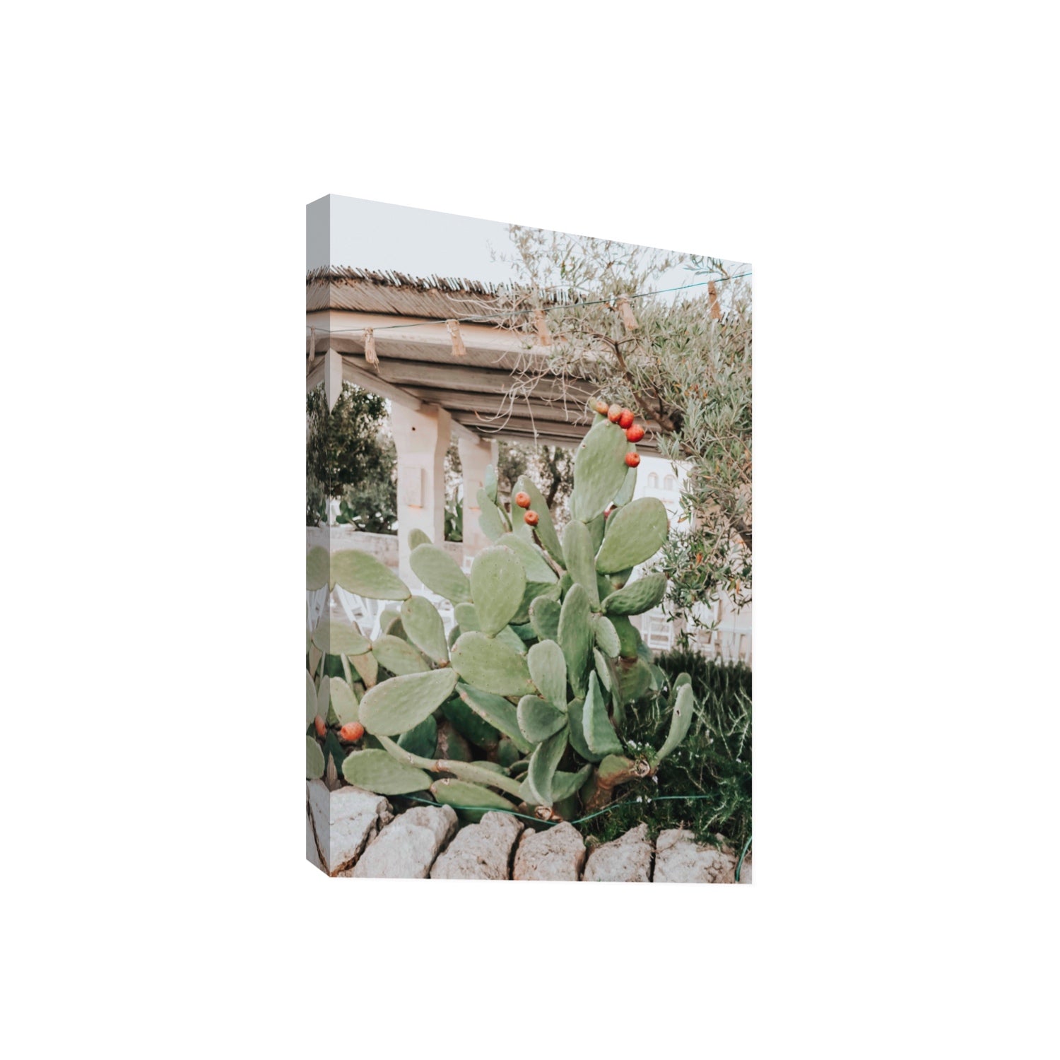 Opuntia Beauty Puglia wall art Giant stretched canvas print