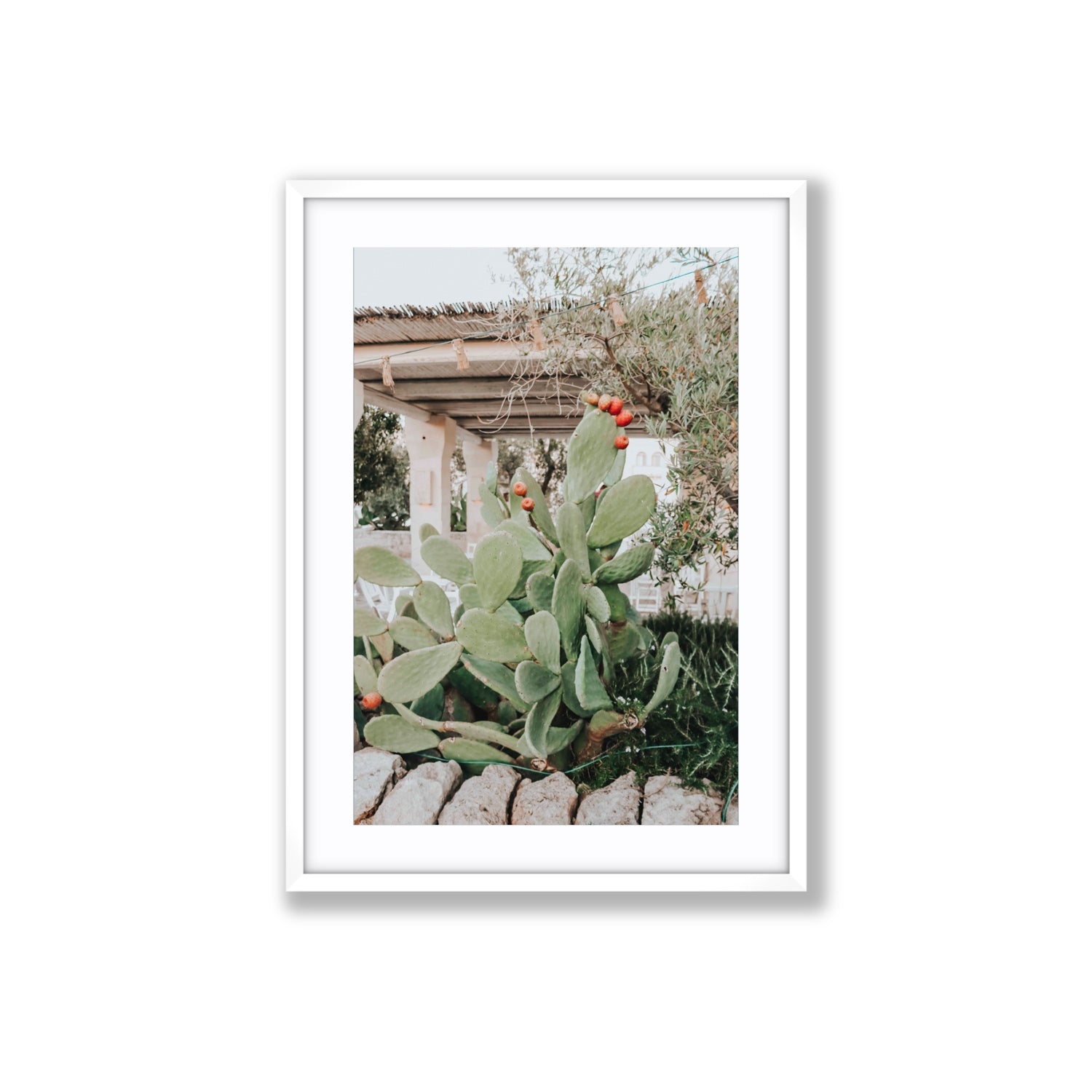 Opuntia Beauty Puglia wall art Large fine art print in white frame with matboard