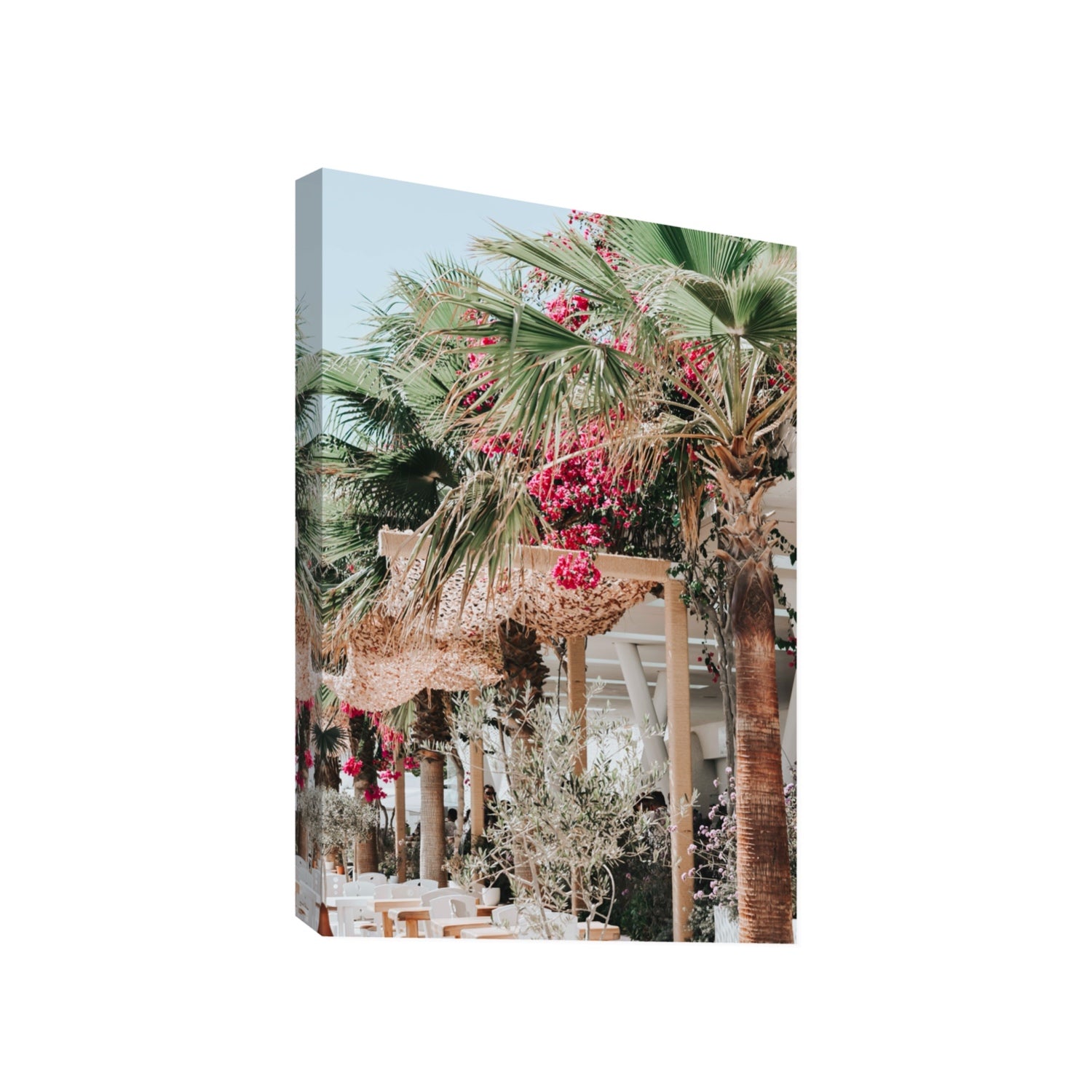Palm Trees Mykonos Greek island wall art Gallery stretched canvas print