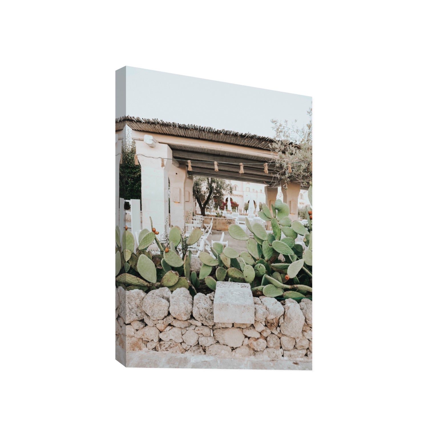 Puglia Flora Puglia Borgo Egnazia Mediterranean wall art Gallery stretched canvas print