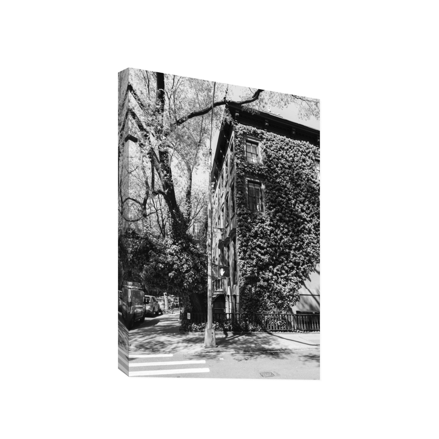 Vertical Garden New York NYC Black & White wall art Gallery stretched canvas print